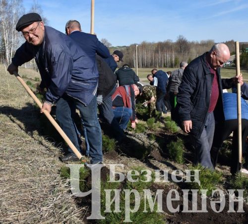 Чирмешәнлеләр "Хәтер бакчасы" акциясенә кушылды (ФОТОРЕПОРТАЖ)
