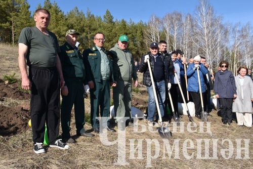 Чирмешәнлеләр "Хәтер бакчасы" акциясенә кушылды (ФОТОРЕПОРТАЖ)