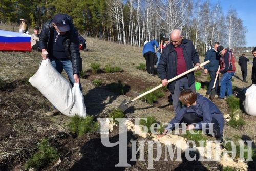 Черемшанцы присоединились к акции "Сад памяти" (ФОТОРЕПОРТАЖ)