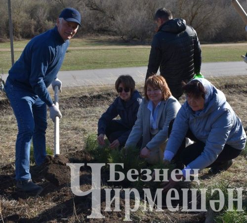 Черемшанцы присоединились к акции "Сад памяти" (ФОТОРЕПОРТАЖ)