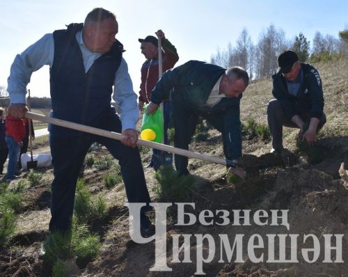 Черемшанцы присоединились к акции "Сад памяти" (ФОТОРЕПОРТАЖ)