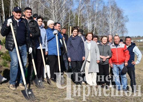 Чирмешәнлеләр "Хәтер бакчасы" акциясенә кушылды (ФОТОРЕПОРТАЖ)