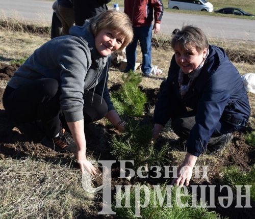 Черемшанцы присоединились к акции "Сад памяти" (ФОТОРЕПОРТАЖ)