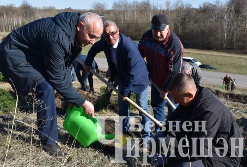 Чирмешәнлеләр "Хәтер бакчасы" акциясенә кушылды (ФОТОРЕПОРТАЖ)