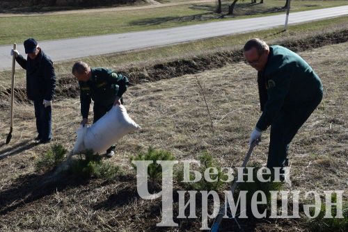 Черемшанцы присоединились к акции "Сад памяти" (ФОТОРЕПОРТАЖ)