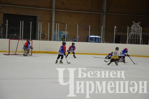 Чирмешәндә 2016 елгы балалар арасында "Җиңү көне" хоккей турниры узды (ФОТОРЕПОРТАЖ)
