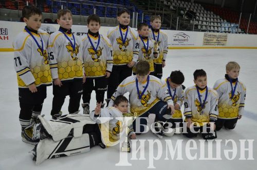 Чирмешәндә 2016 елгы балалар арасында "Җиңү көне" хоккей турниры узды (ФОТОРЕПОРТАЖ)