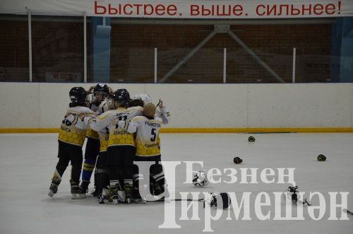 Чирмешәндә 2016 елгы балалар арасында "Җиңү көне" хоккей турниры узды (ФОТОРЕПОРТАЖ)