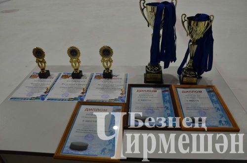 Чирмешәндә 2016 елгы балалар арасында "Җиңү көне" хоккей турниры узды (ФОТОРЕПОРТАЖ)