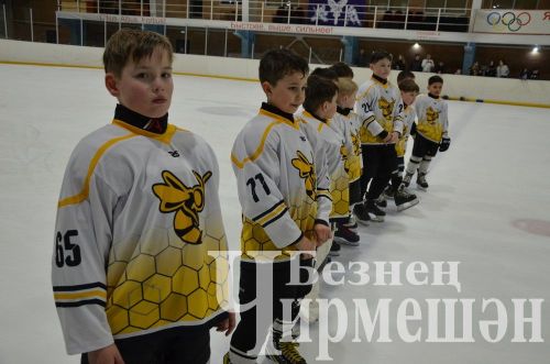 Чирмешәндә 2016 елгы балалар арасында "Җиңү көне" хоккей турниры узды (ФОТОРЕПОРТАЖ)