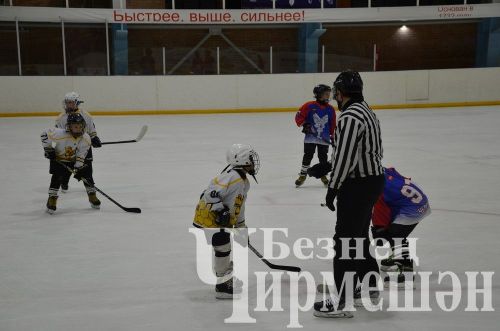 Чирмешәндә 2016 елгы балалар арасында "Җиңү көне" хоккей турниры узды (ФОТОРЕПОРТАЖ)