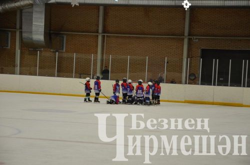 Чирмешәндә 2016 елгы балалар арасында "Җиңү көне" хоккей турниры узды (ФОТОРЕПОРТАЖ)