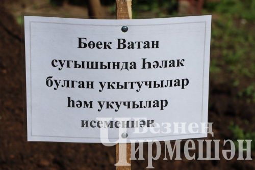 Лашман мәктәбе янында бакча утырттылар (ФОТОРЕПОРТАЖ)