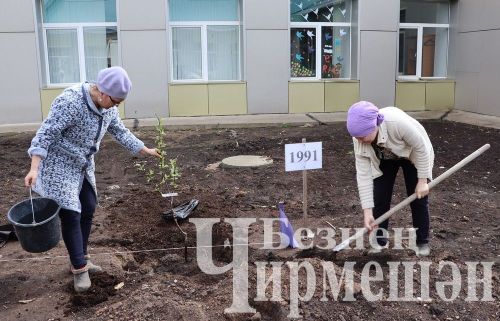 Лашман мәктәбе янында бакча утырттылар (ФОТОРЕПОРТАЖ)