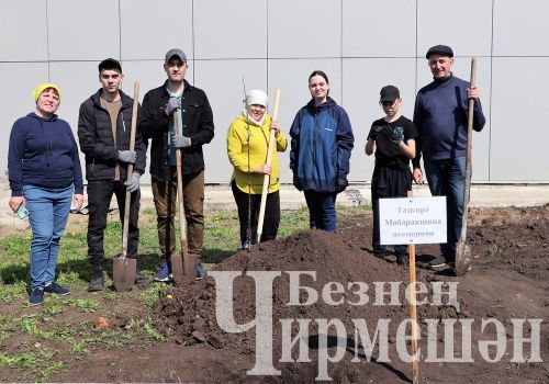 Лашман мәктәбе янында бакча утырттылар (ФОТОРЕПОРТАЖ)