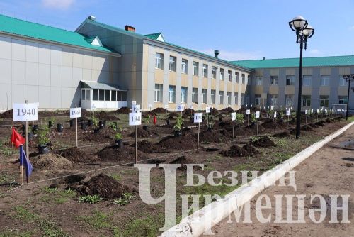 Лашман мәктәбе янында бакча утырттылар (ФОТОРЕПОРТАЖ)