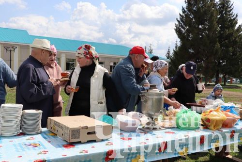 Лашман мәктәбе янында бакча утырттылар (ФОТОРЕПОРТАЖ)