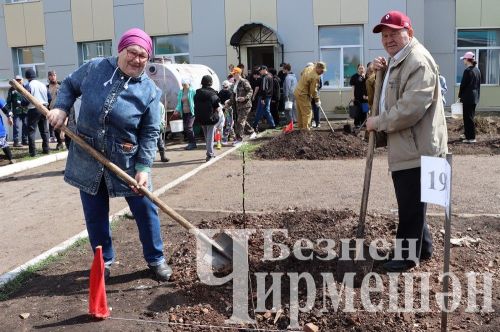 Лашман мәктәбе янында бакча утырттылар (ФОТОРЕПОРТАЖ)