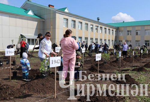 Лашман мәктәбе янында бакча утырттылар (ФОТОРЕПОРТАЖ)