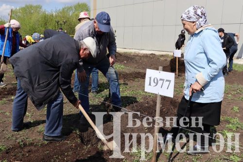 Лашман мәктәбе янында бакча утырттылар (ФОТОРЕПОРТАЖ)