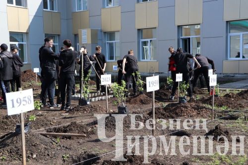 Лашман мәктәбе янында бакча утырттылар (ФОТОРЕПОРТАЖ)