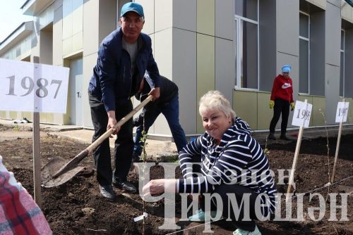 Лашман мәктәбе янында бакча утырттылар (ФОТОРЕПОРТАЖ)