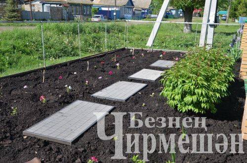 Объективта  - Бәркәтә авылы уңганнары