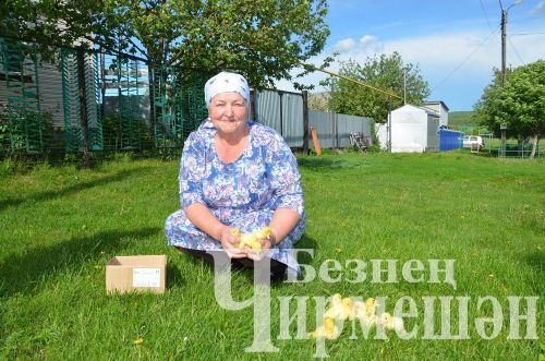 Объективта  - Бәркәтә авылы уңганнары