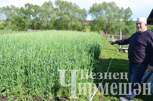 Объективта  - Бәркәтә авылы уңганнары