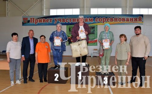 Чирмешәндә Җиңүнең 80 еллыгына багышланган "Өченче яшь" спартакиадасы узды (ФОТОРЕПОРТАЖ)