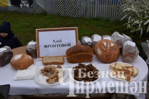 Празднование Дня Великой Победы в Черемшане (2 часть, ФОТОРЕПОРТАЖ)