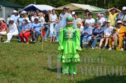 39 фотографий со Дня села в Старом Утямыше (ФОТОРЕПОРТАЖ)