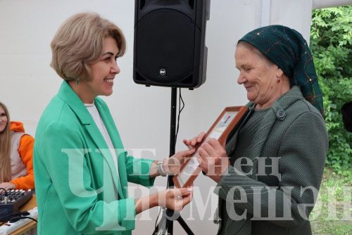 В Черемшане наградили медицинских работников (ФОТОРЕПОРТАЖ)