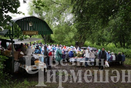 В поселке Кызыл Чишма провели День села (ФОТОРЕПОРТАЖ)