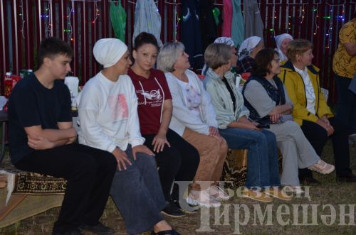 В Черемшане в микрорайоне Северный соседи собрались на праздник (ФОТОРЕПОРТАЖ)
