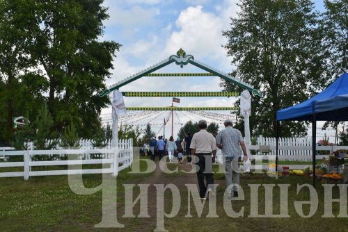 В Амирове отметили День села (ФОТОРЕПОРТАЖ)