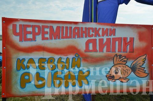 Чирмешәнлеләр Яңа Элмәле буасында балыкчылар ярышында көч сынашты (ФОТОРЕПОРТАЖ)