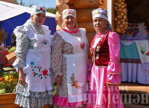 В Черемшане прошел фестиваль "Луковая долина" (ФОТОРЕПОРТАЖ)