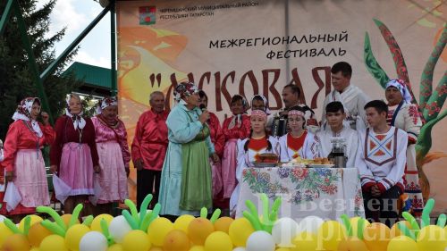 В Черемшане прошел фестиваль "Луковая долина" (ФОТОРЕПОРТАЖ)