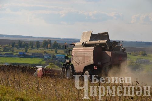 В Черемшанском районе вновь наградили комбайнеров  (ФОТОРЕПОРТАЖ)
