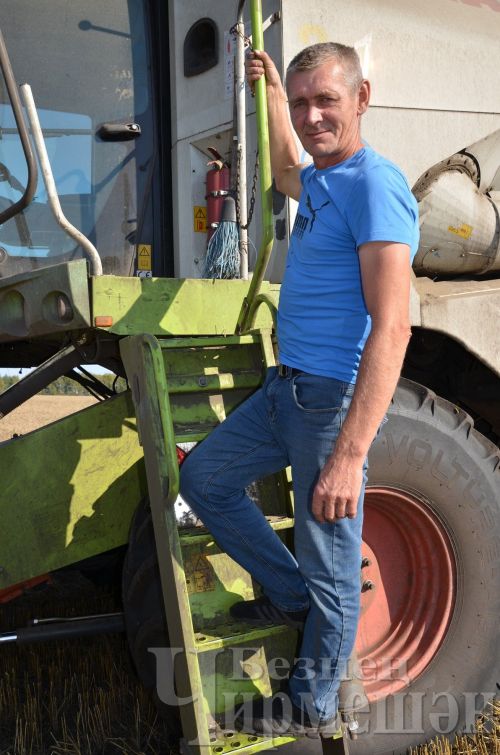 В Черемшане передовикам жатвы вручили денежные сертификаты (ФОТОРЕПОРТАЖ)