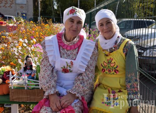 В Беркет Ключе работает лагерь для пожилых (ФОТОРЕПОРТАЖ)