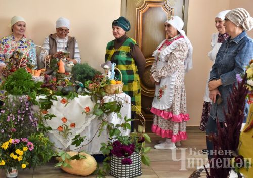 В Беркет Ключе работает лагерь для пожилых (ФОТОРЕПОРТАЖ)