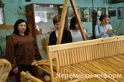 Работники культуры Черемшанского и Камышлинского районов встретились на «Мосту дружбы» (ФОТОРЕПОРТАЖ)