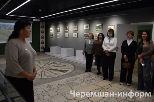Работники культуры Черемшанского и Камышлинского районов встретились на «Мосту дружбы» (ФОТОРЕПОРТАЖ)