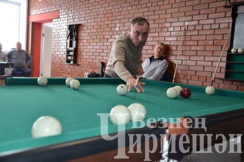 В Черемшане в открытом турнире по бильярду приняли участие 18 игроков (ФОТОРЕПОРТАЖ)
