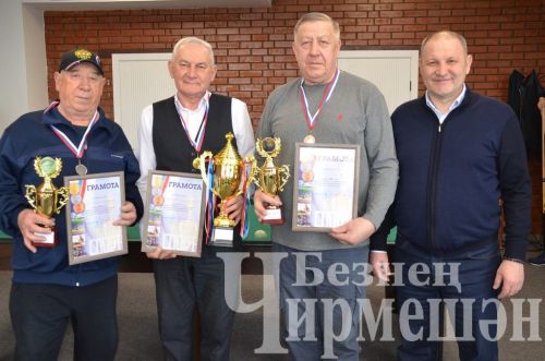В Черемшане в открытом турнире по бильярду приняли участие 18 игроков (ФОТОРЕПОРТАЖ)