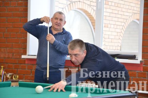 В Черемшане в открытом турнире по бильярду приняли участие 18 игроков (ФОТОРЕПОРТАЖ)