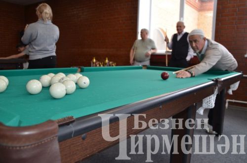 В Черемшане в открытом турнире по бильярду приняли участие 18 игроков (ФОТОРЕПОРТАЖ)