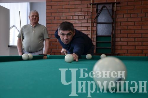 В Черемшане в открытом турнире по бильярду приняли участие 18 игроков (ФОТОРЕПОРТАЖ)